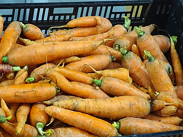 Ithaca Farmer's Market