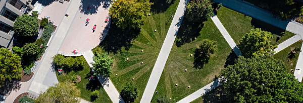 cornell lawn art