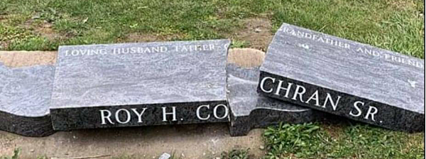 myers cochran bench
