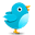 footertwittericon