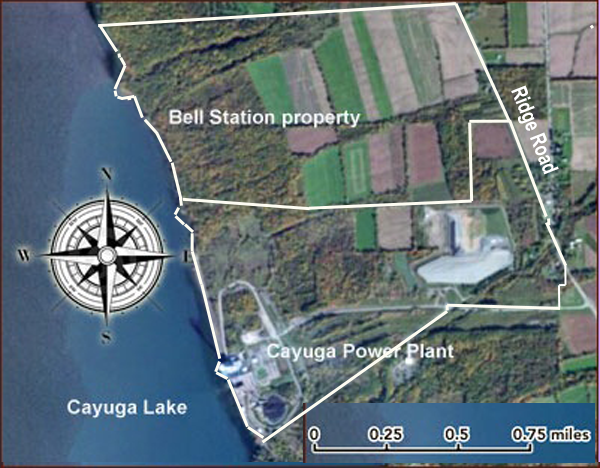 Bell Station and Cayuga Operating Company land