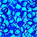 bluebubbles