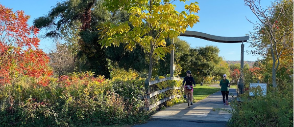 cayugaWaterfrontTrail