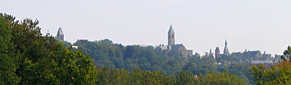 cornell1 600