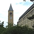 cornell2