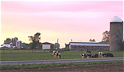 Lansing Farming