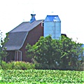 Lansing Farming