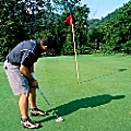 golfgreen120