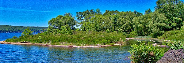 Poison Ivy Point Poison Ivy Point