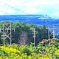 powerlines