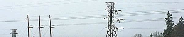 Electricity Grid