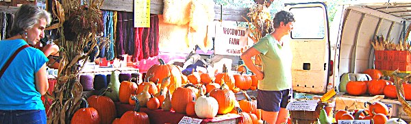pumpkins