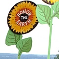 repowering_sunflower120