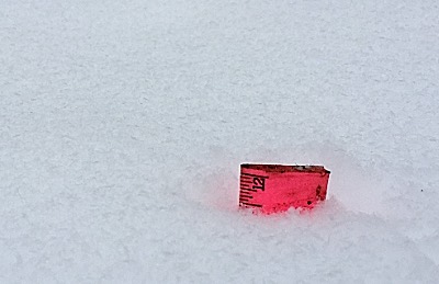We measured 11 1/2 inches outside the Lansing Star office Thursday morning snow-11-5-inches