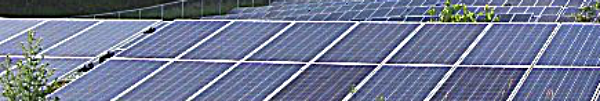 Nexamp Community Solar Farm Proposed