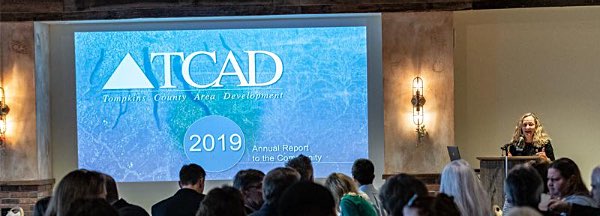 tcad annual report