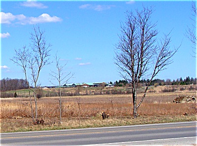 Town Center Land