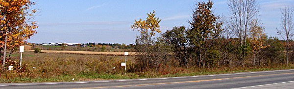 Town Land For Sale