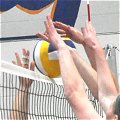 volleyball2 120