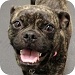 roxy2